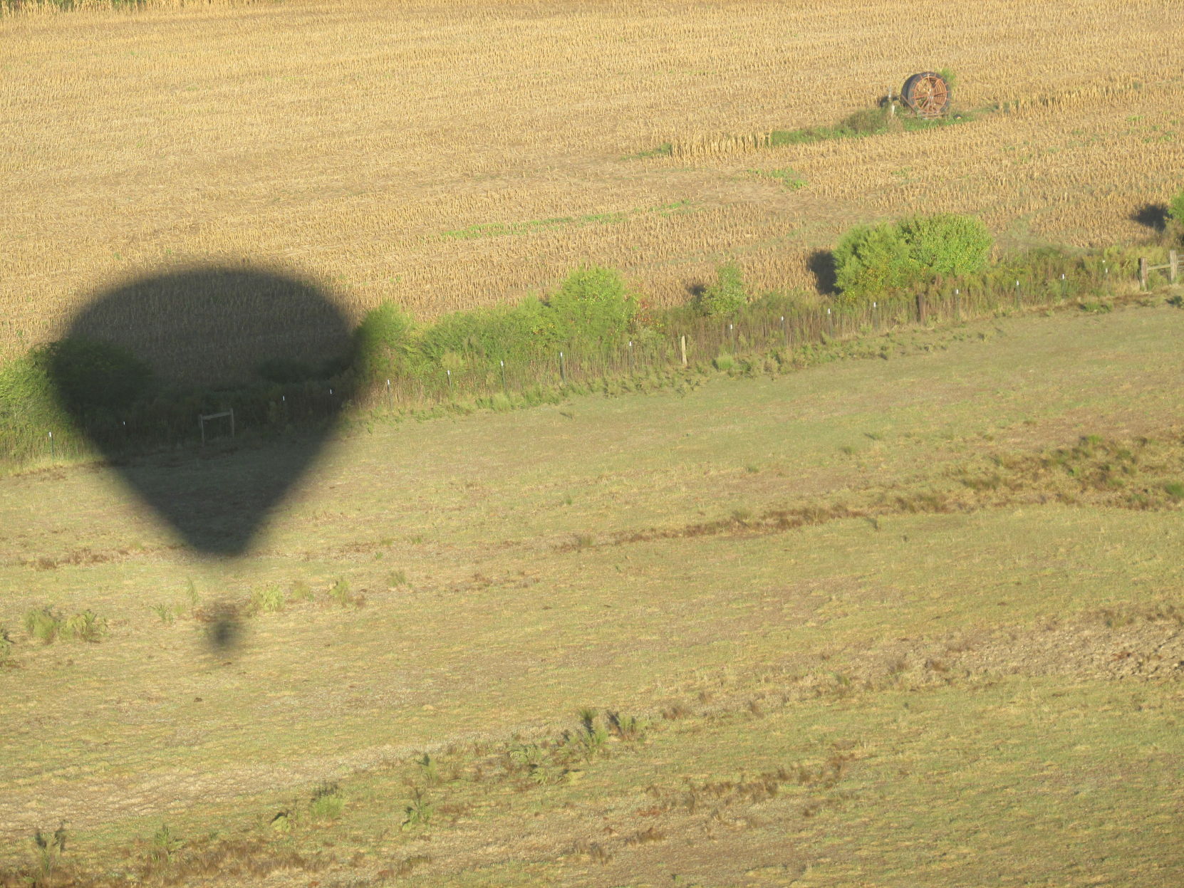 Carolina BalloonFest